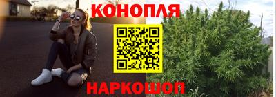 стафф Краснодар