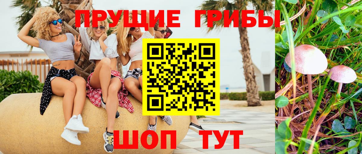 Галлюциногенные грибы мухоморы Копейск