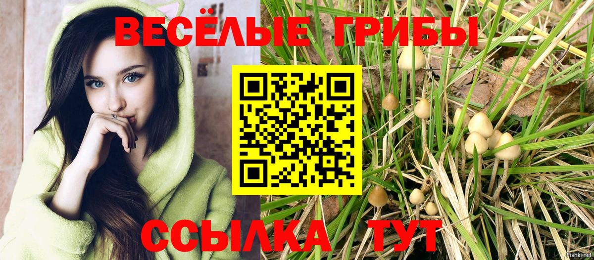 Копейск  Псилоцибиновые грибы Psilocybine cubensis  Вход с VPN 
